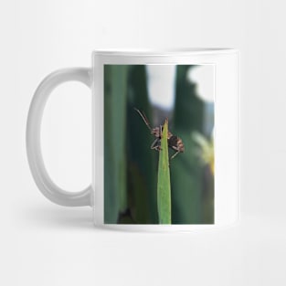 THE PANASONIC FZ 200 PAR OKAIO CREATION Mug